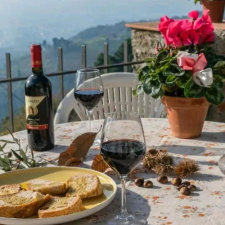 Casa vacanze Casa Serena Petrognano
