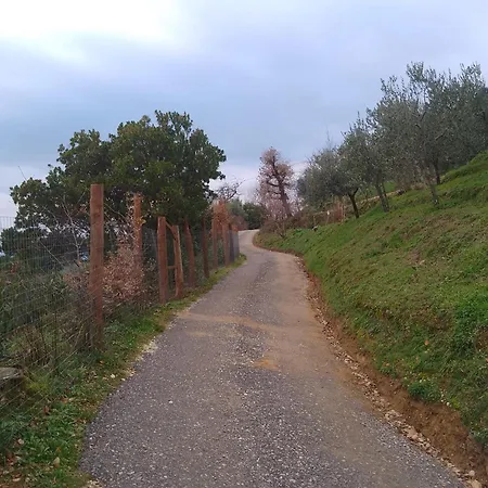 Casa vacanze Casa Serena Petrognano *